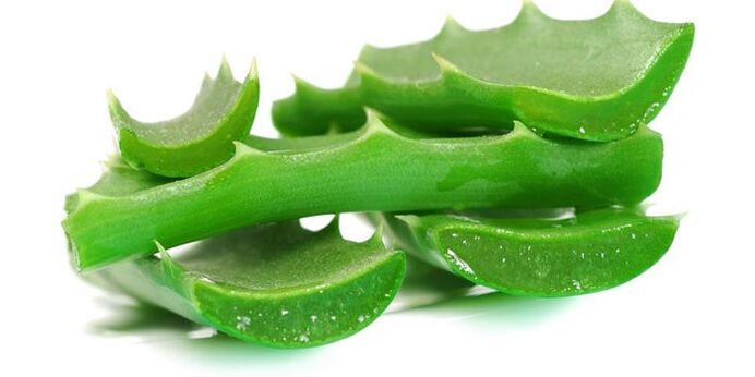 aloe za tretman gljiva noktiju